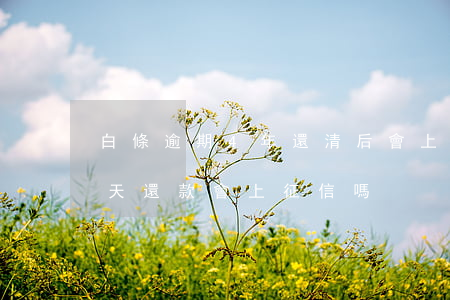 白條逾期4年還清后會上征信嗎 白條逾期三天還款會上征信嗎