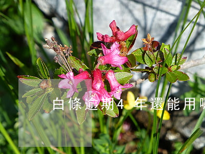 白條逾期4年還能用嗎