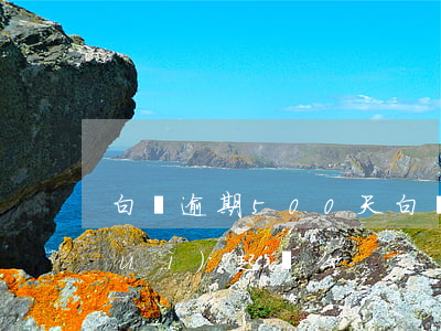 白條逾期500天（白條逾期400天會(huì)起訴么）