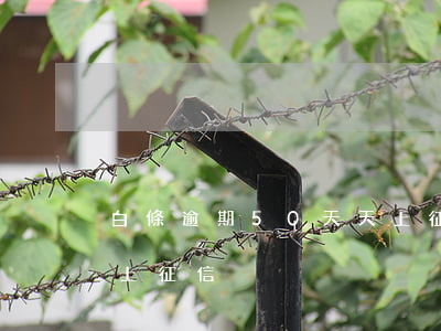 白條逾期50天天上征信(白條逾期50天天上征信)