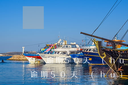 白條逾期50天會(huì)上征信嗎(白條逾期50天會(huì)上征信嗎)