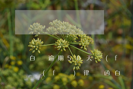 白條逾期50天發(fā)來信息郵政快遞發(fā)律師函（白條逾期短信說發(fā)律師函到村委）