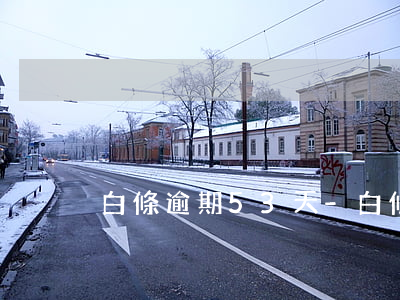 白條逾期53天-白條逾期15天沒事吧