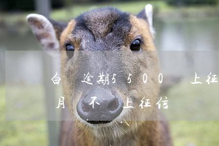 白條逾期5500會上征信嗎 白條逾期五個月會不會上征信