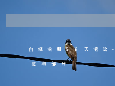 白條逾期58天還款-白條逾期35天只還逾期部分