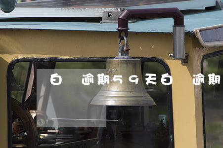白條逾期59天 白條逾期60天還了逾期