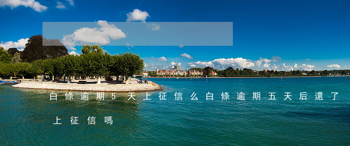 白條逾期5天上征信么 白條逾期五天后還了上征信嗎