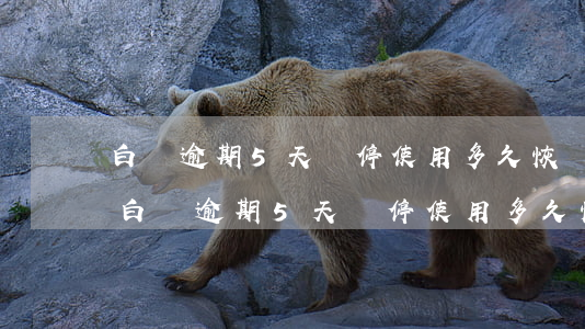 白條逾期5天暫停使用多久恢復(fù)-白條逾期5天暫停使用多久恢復(fù)征信
