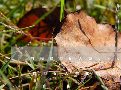 白條逾期5天會(huì)怎樣 白條不小心逾期5天有事嗎