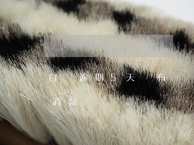 白條逾期5天會有記錄嗎(白條逾期記錄多久消除)
