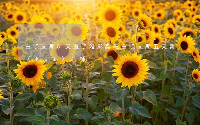 白條逾期5天還了沒影響吧(白條逾期五天會(huì)怎樣)