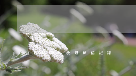白條逾期5快錢征信記錄