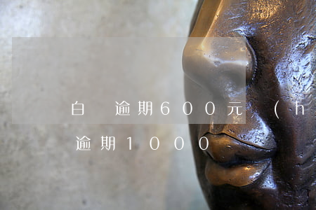 白條逾期600元會(huì)怎么樣(白條逾期1000)