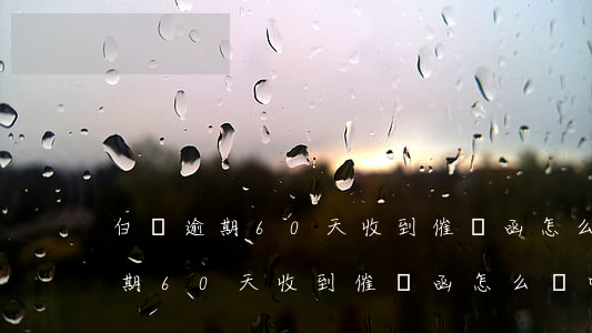 白條逾期60天收到催繳函怎么辦-白條逾期60天收到催繳函怎么辦呢