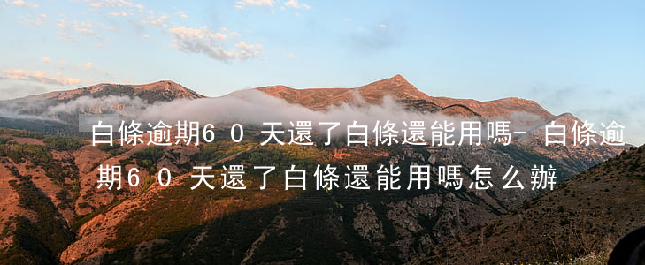 白條逾期60天還了白條還能用嗎-白條逾期60天還了白條還能用嗎怎么辦