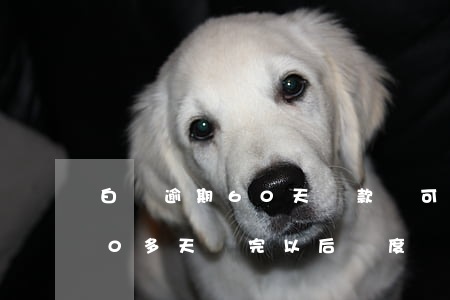 白條逾期60天還款還可以用-白條逾期20多天還完以后額度還能用嗎
