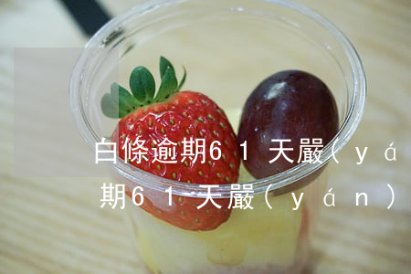 白條逾期61天嚴(yán)重嗎-白條逾期61天嚴(yán)重嗎