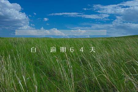 白條逾期64天