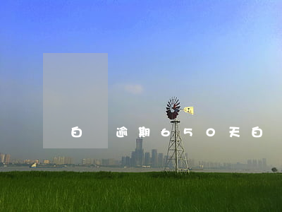 白條逾期650天（白條逾期650天）