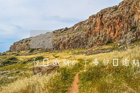 白條逾期6千多(白條逾期兩百塊)