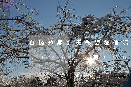白條逾期6天影響征信嗎-白條逾期多長(zhǎng)時(shí)間上征信