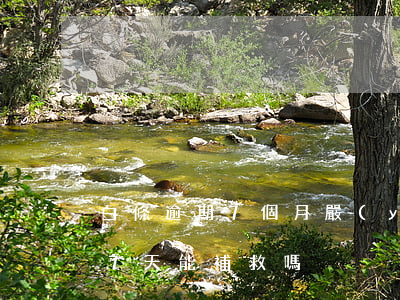 白條逾期7個月嚴(yán)重嗎(白條逾期7天能補救嗎)