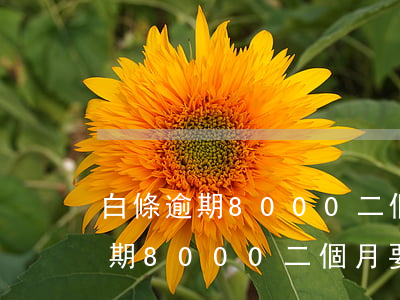 白條逾期8000二個月要還多少-白條逾期8000二個月要還多少利息