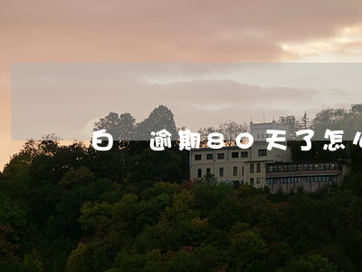 白條逾期80天了怎么還(白條逾期90天全額還)