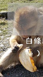 白條逾期8個(gè)月(白條逾期兩個(gè)星期嚴(yán)重嗎)