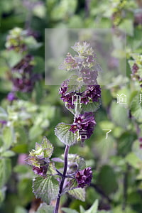 白條逾期8天上征信不-白條逾期6天上征信了