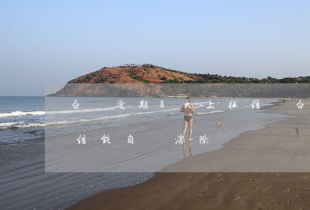 白條逾期8天上征信嗎(白條逾期7天后上征信能自動消除嗎)