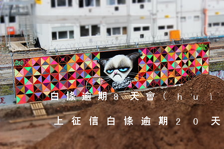 白條逾期8天會(huì)不會(huì)上征信(白條逾期20天會(huì)上征信嘛)