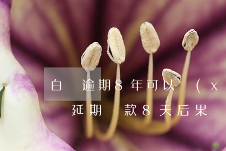 白條逾期8年可以協(xié)商還款嗎(白條延期還款8天后果)