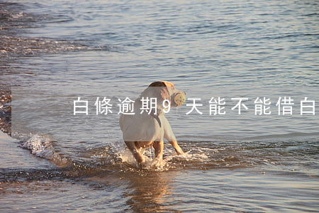 白條逾期9天能不能借(白條逾期還能借么)