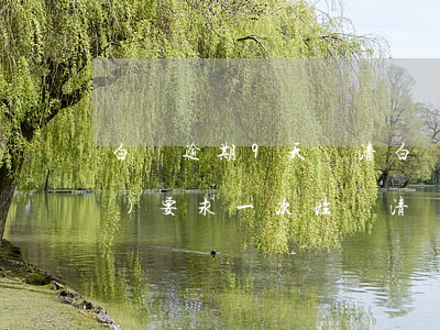 白條逾期9天還清(白條逾期多久會(huì)要求一次性還清)