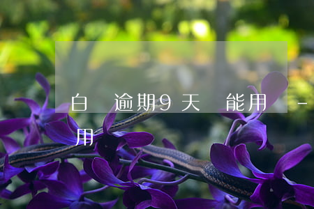 白條逾期9天還能用嗎-白條逾期9天還能用嗎?