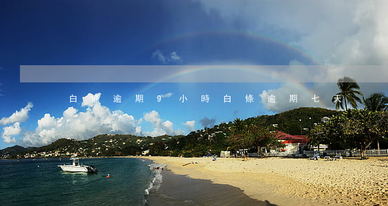 白條逾期9小時(白條逾期七天)