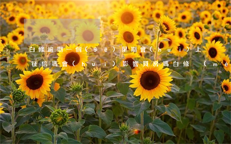 白條逾期一個(gè)星期會(huì)上征信嗎會(huì)影響買房嗎（白條沒(méi)逾期影響房貸嗎）