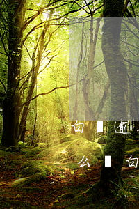 白條逾期一個(gè)星期會(huì)怎么樣(白條逾期一天問題大嗎)