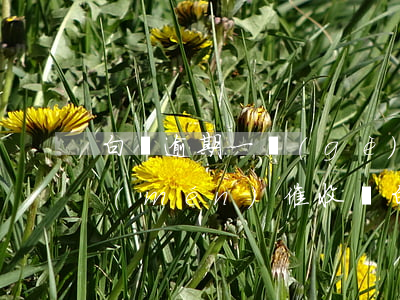 白條逾期一個(gè)月會(huì)上門(mén)催收嗎(白條逾期3個(gè)月會(huì)上門(mén)催收嗎)
