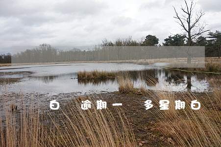 白條逾期一個多星期(白條逾期幾天沒事吧)