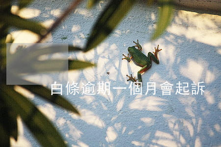白條逾期一個月會起訴