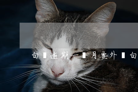 白條逾期一個月要外訪 白條逾期一周的影響