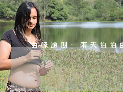 白條逾期一兩天（拍拍白條逾期一天）