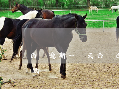 白條逾期一兩天(白條逾期一兩天銀行不給貸款)