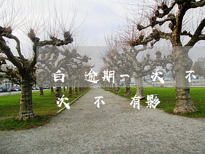白條逾期一兩次會不會有影響 白條逾期一兩次會不會有影響