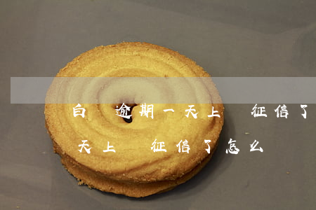 白條逾期一天上報征信了怎么辦(白條逾期一天上報征信了怎么辦)