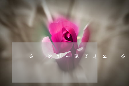 白條逾期一天了怎么辦(白條逾期1天了怎么辦)