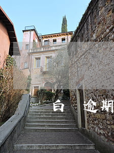 白條逾期一天取消了分期(白條逾期 取消分期)