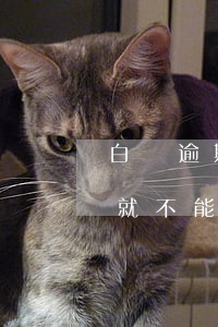 白條逾期一天取現(xiàn)功能是不是就不能用（白條取現(xiàn)逾期怎么辦）